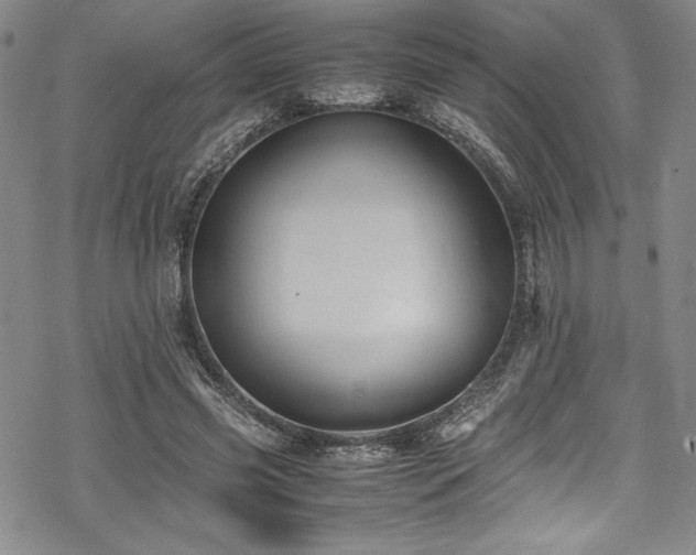 X0000069390541200605121213