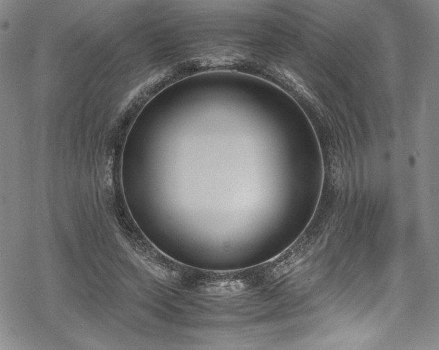 X0000069390543200605121214