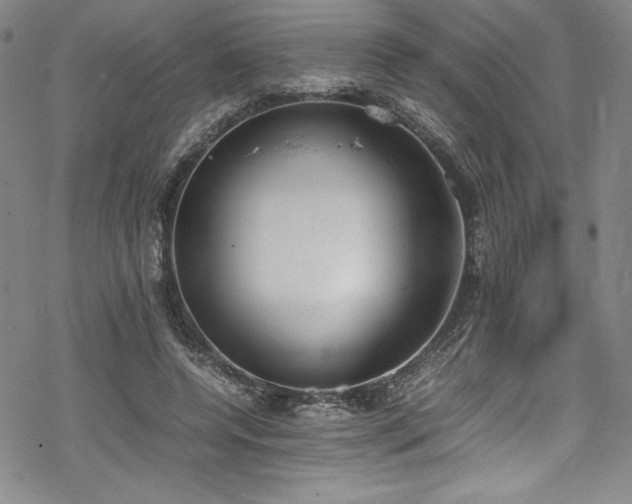 X0000069390544200605121214