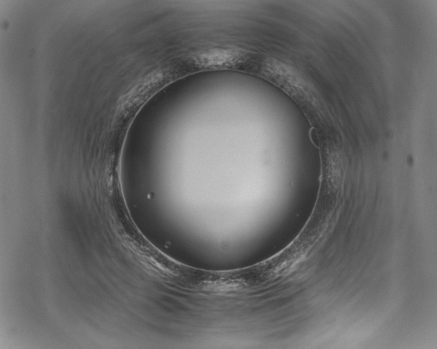 X0000069390545200605121214