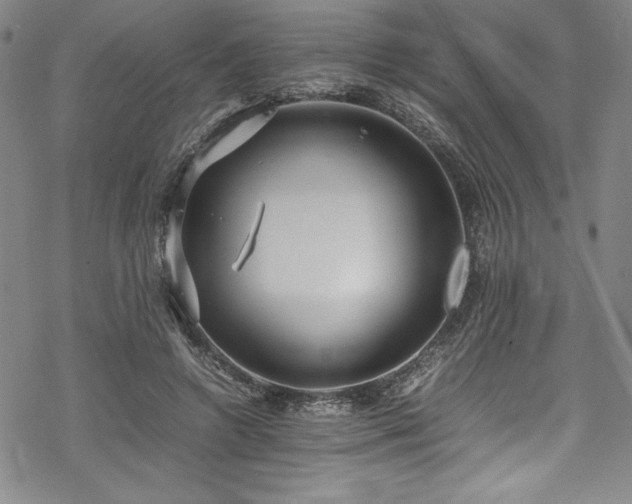 X0000069390546200605121214