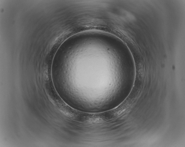 X0000069390547200605121214