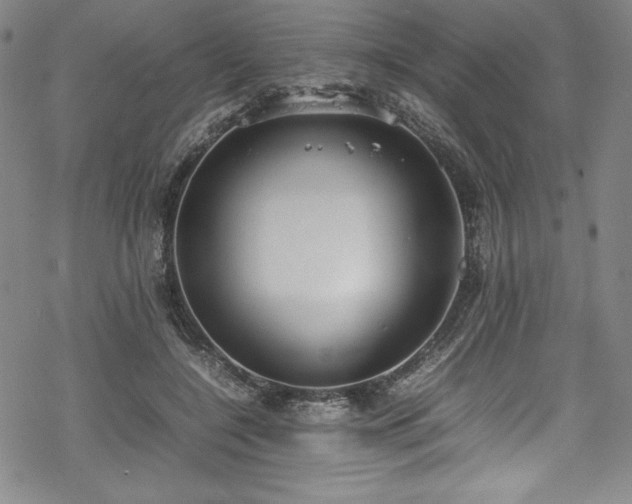 X0000069390548200605121214