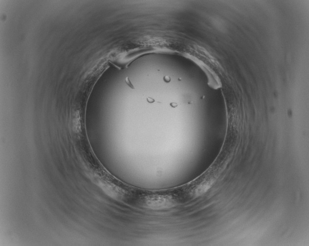 X0000069390549200605121214