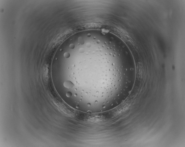 X0000069390550200605121214