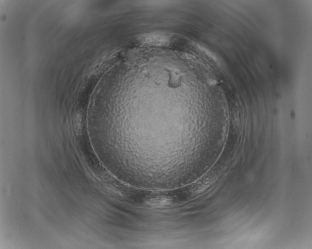 X0000069390551200605121214