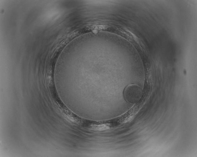 X0000069390553200605121214