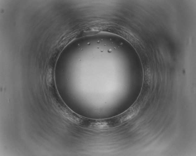 X0000069390554200605121214