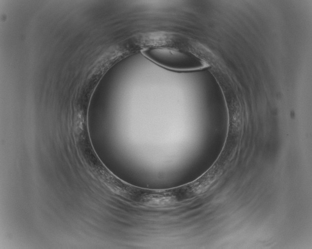 X0000069390555200605121214