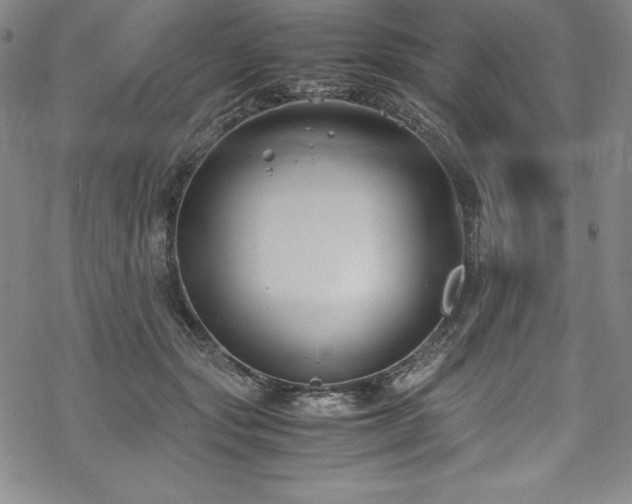 X0000069390557200605121214