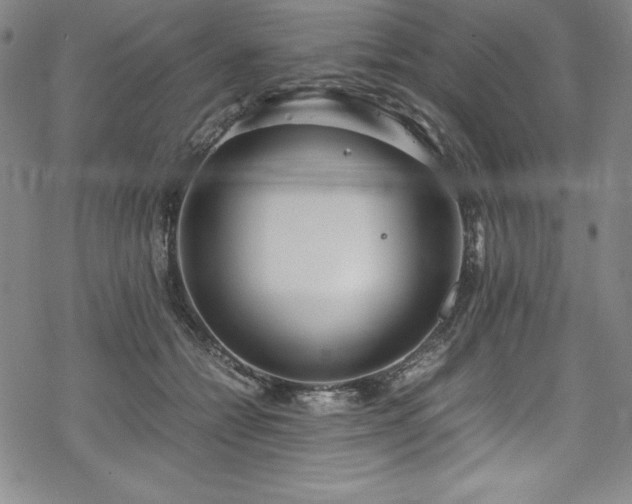 X0000069390558200605121214