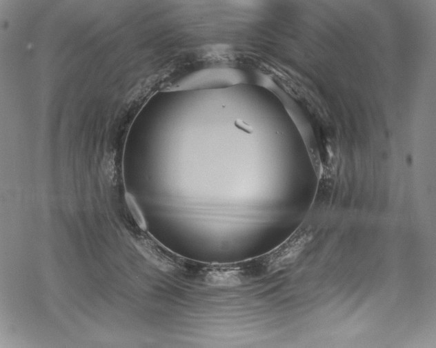 X0000069390560200605121214