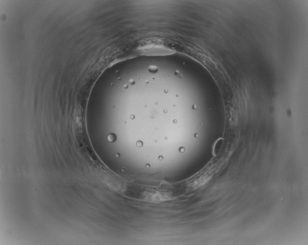 X0000069390561200605121214