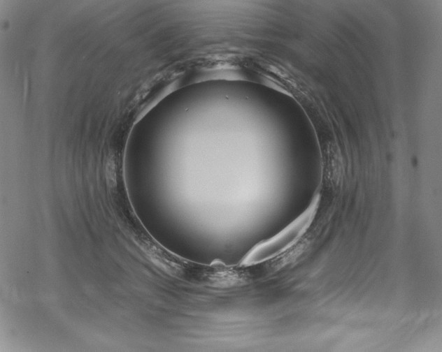 X0000069390562200605121214