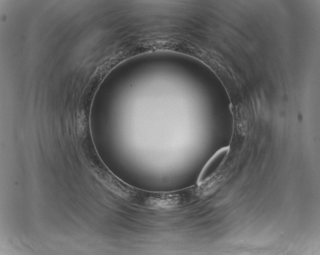 X0000069390563200605121214