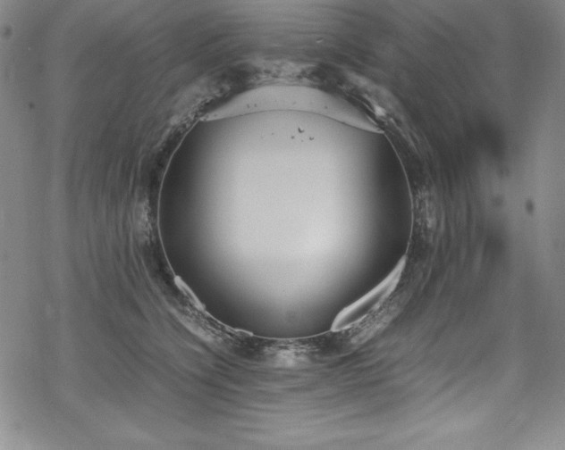 X0000069390564200605121214