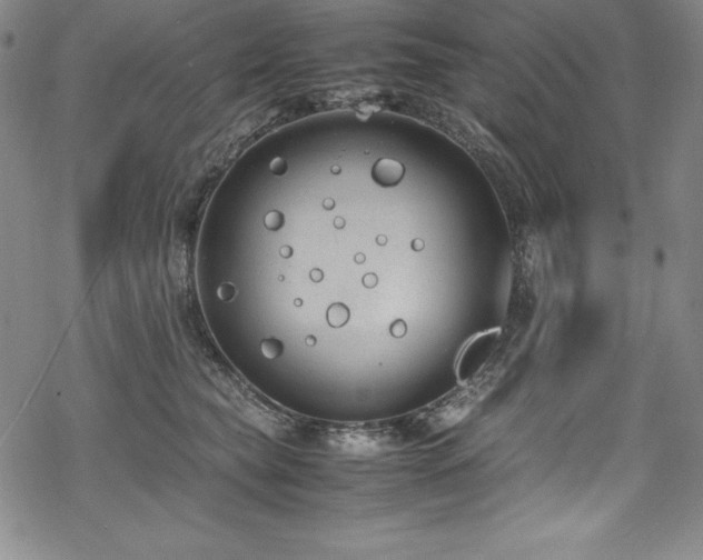 X0000069390565200605121214