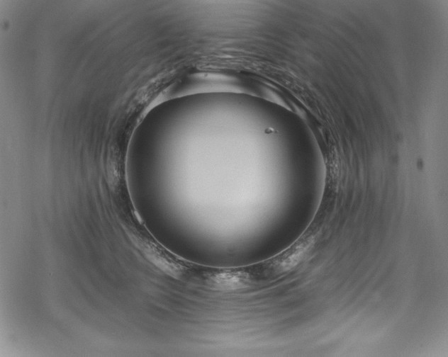 X0000069390566200605121214