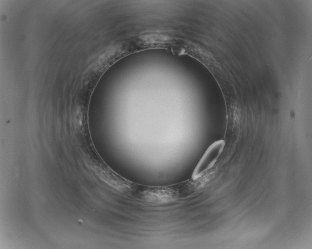 X0000069390567200605121214