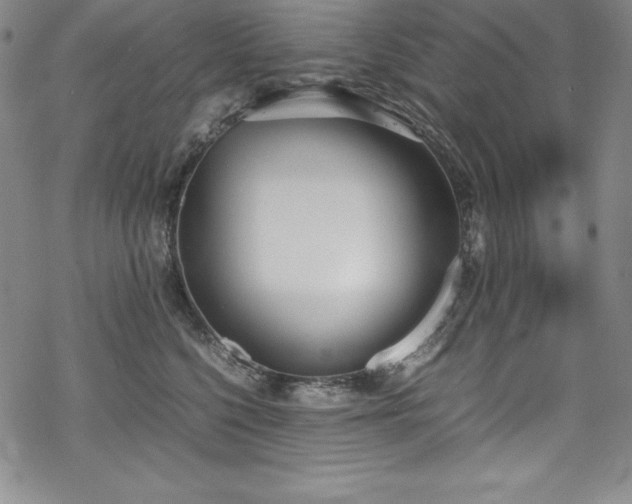 X0000069390568200605121214