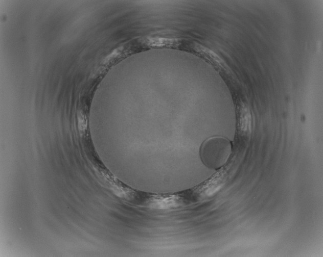 X0000069390569200605121214