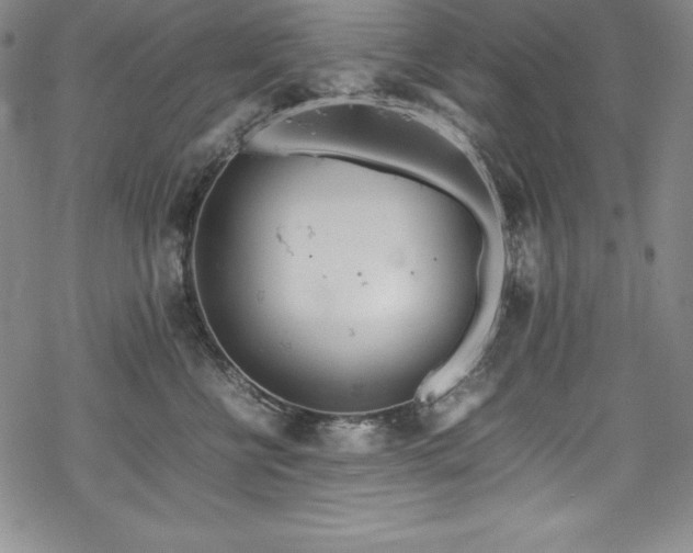 X0000069390570200605121214