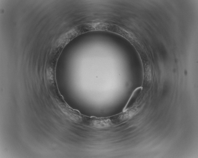 X0000069390571200605121214