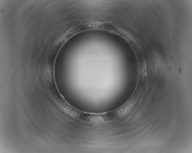 X0000069390572200605121214