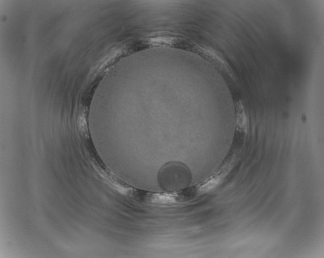 X0000069390573200605121214