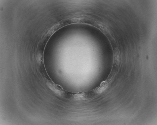 X0000069390574200605121214