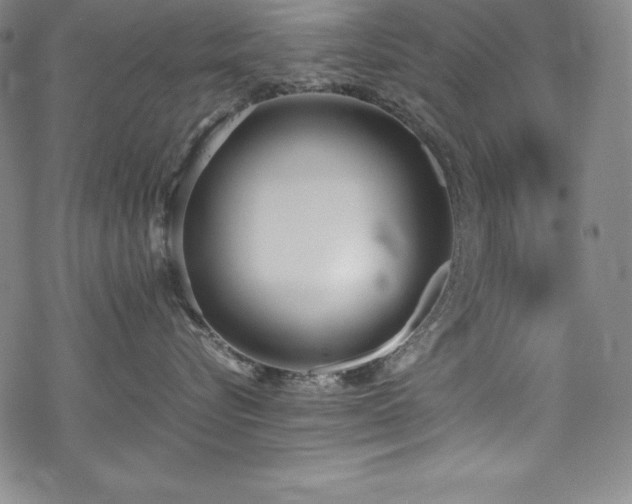 X0000069390576200605121214