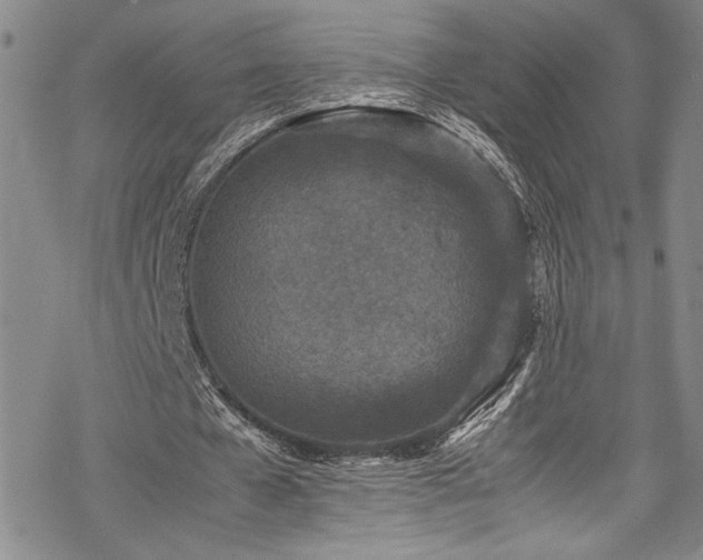 X0000069390577200605121213