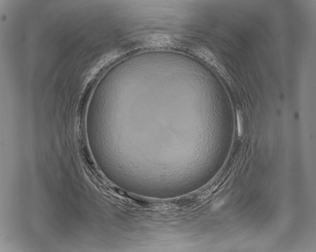 X0000069390579200605121213