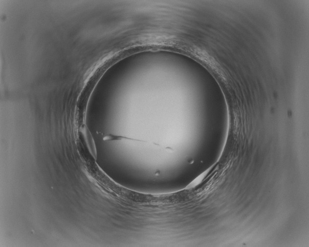 X0000069390580200605121213