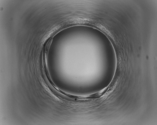 X0000069390581200605121213