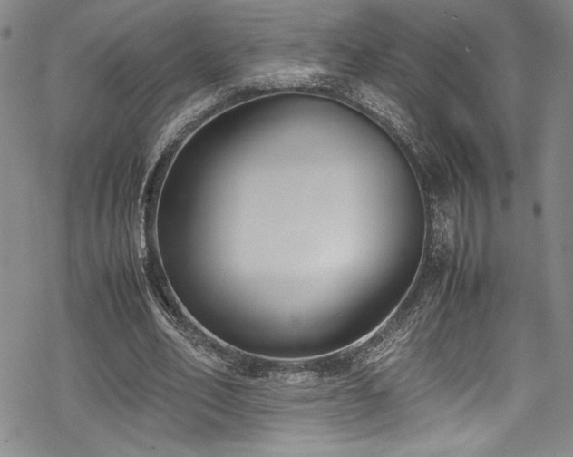 X0000069390582200605121213