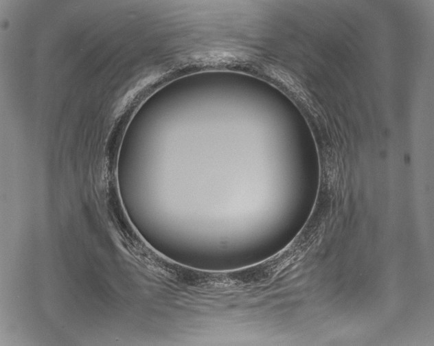 X0000069390583200605121213