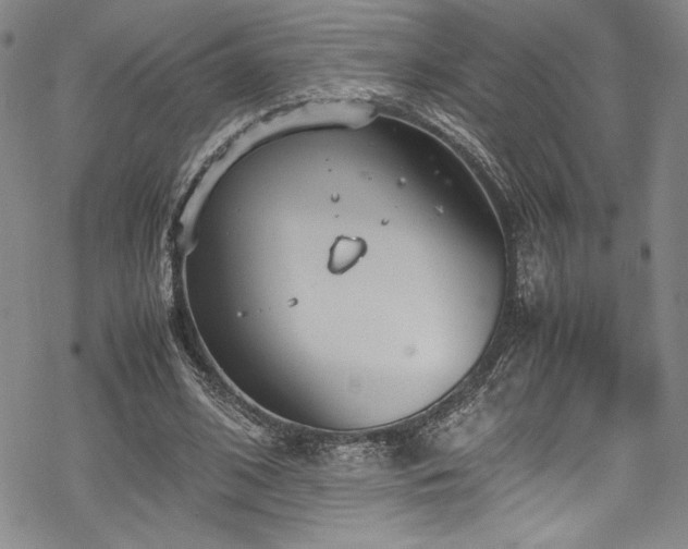 X0000069390584200605121213