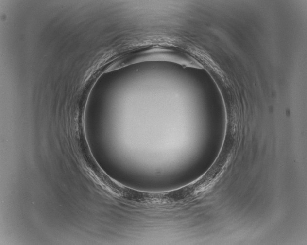 X0000069390585200605121213