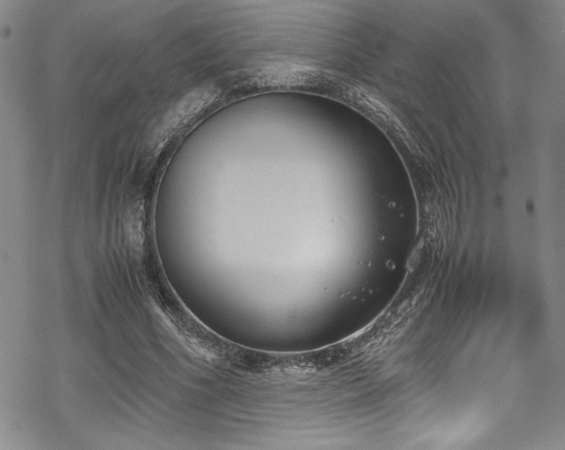 X0000069390586200605121213