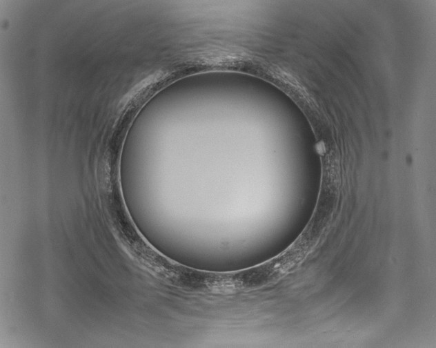 X0000069390587200605121213