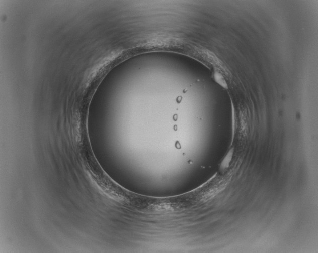 X0000069390588200605121213