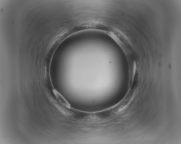 X0000069390589200605121213