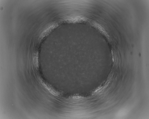 X0000069390590200605121213