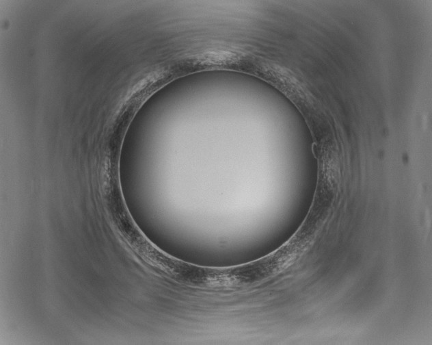 X0000069390591200605121213