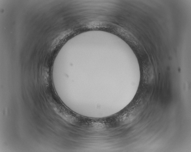 X0000069390592200605121213