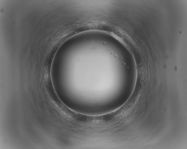 X0000069390593200605121213