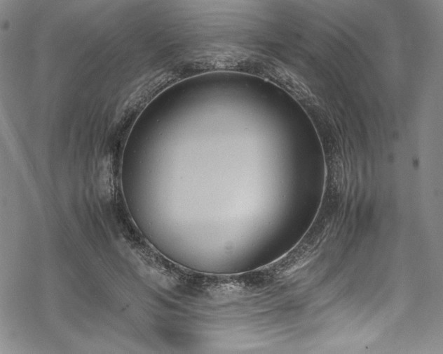 X0000069390594200605121213