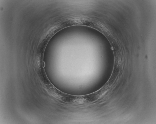 X0000069390595200605121213