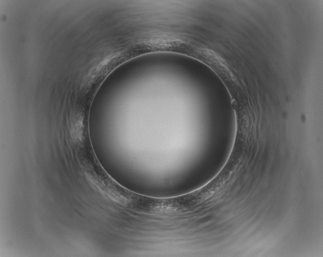 X0000069390596200605121213